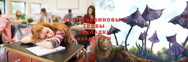 apvp Гусь-Хрустальный