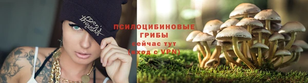 таблы Гусиноозёрск
