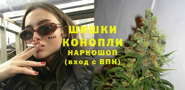 apvp Гусь-Хрустальный