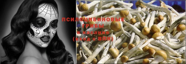 таблы Гусиноозёрск